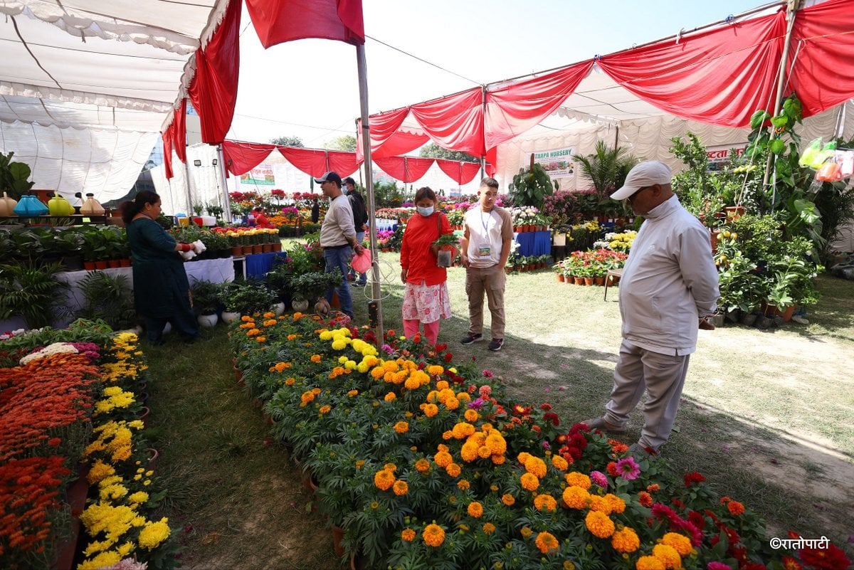 godawari flower exhibition (7)