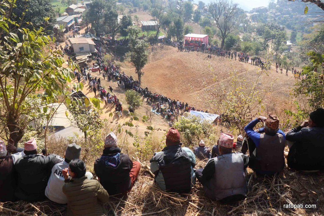 Goru judhai_nuwakot_bull fight_Nepal photo library1