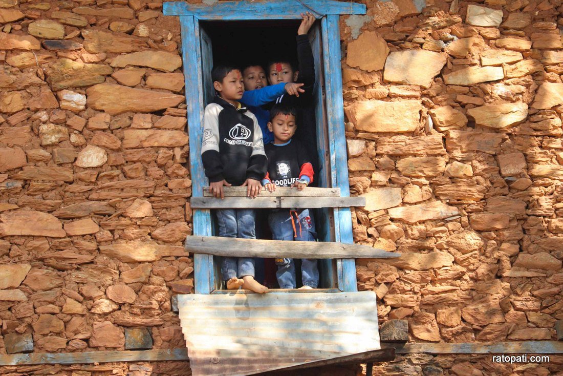 Goru judhai_nuwakot_bull fight_Nepal photo library9