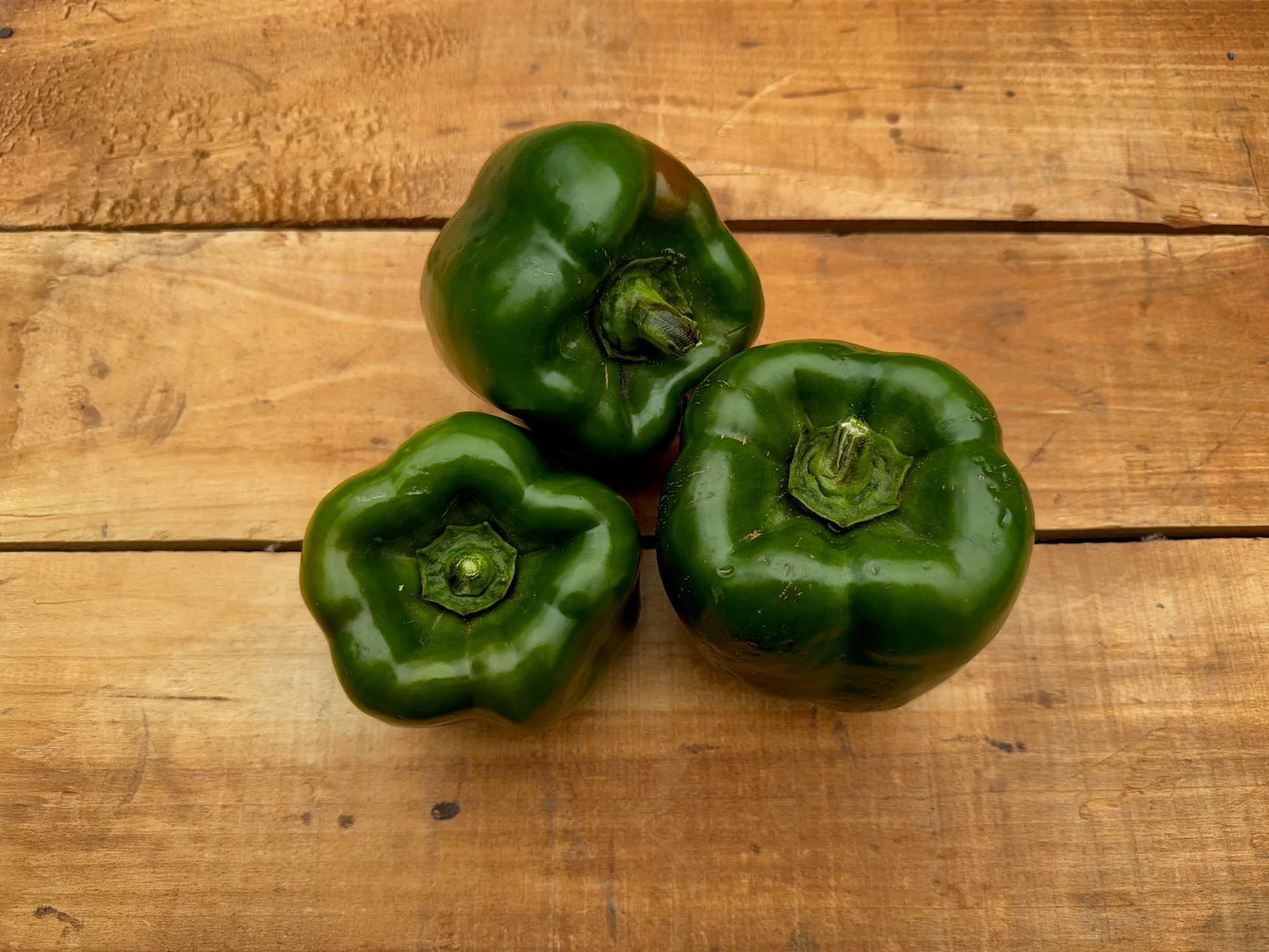 green-bell-pepper