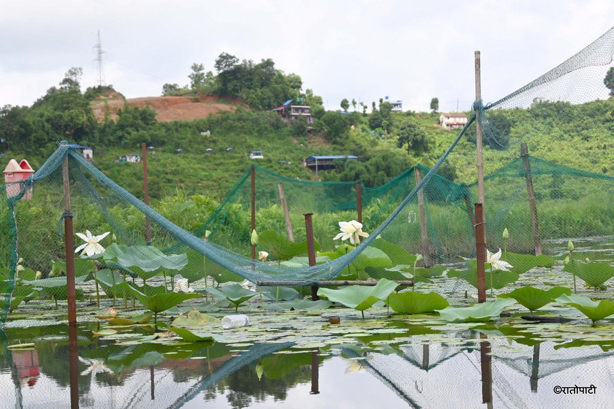 Gudepokhari, pokhara_-567