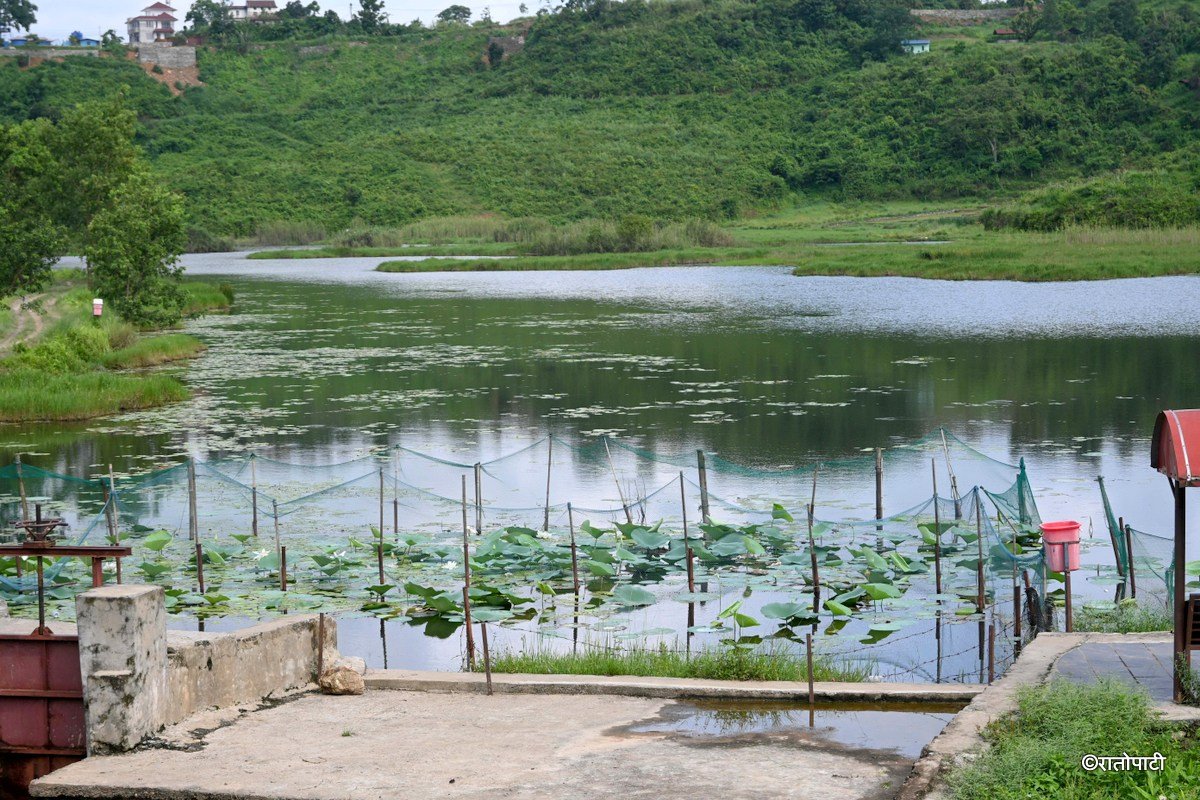 Gudepokhari, pokhara_-568
