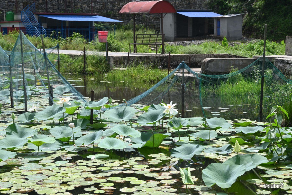Gudepokhari, pokhara_-571