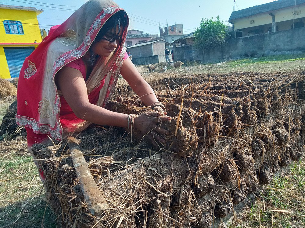 बर्खायामको इन्धन ‘गुइँठा’ को जोहो हिउँदमै