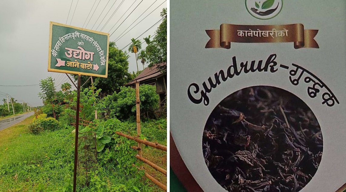   कानेपोखरीमा गुन्द्रुक क्रान्ति : ६० लाखमा खोलियो उद्योग