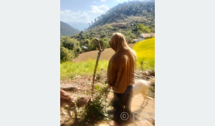   ‘जब स्कुलले थर फेरिदियो, विजयले पढ्नै सकेनन्’