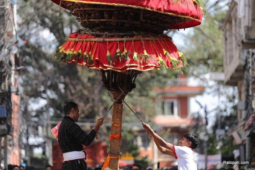 hadigau-jatra (21)
