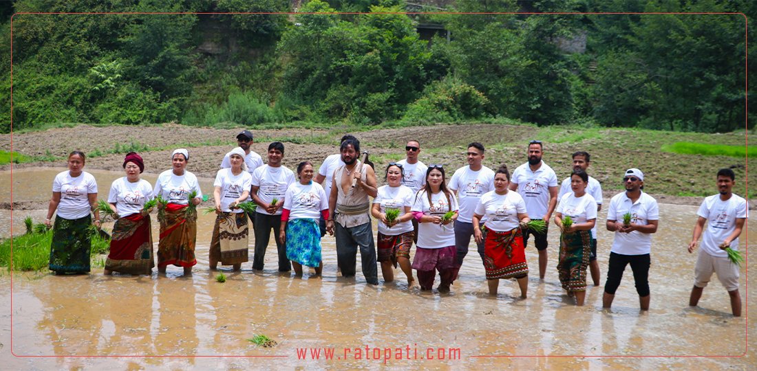 रोपाइँ गर्दै ‘हली’ युनिटले मनायो धान दिवस