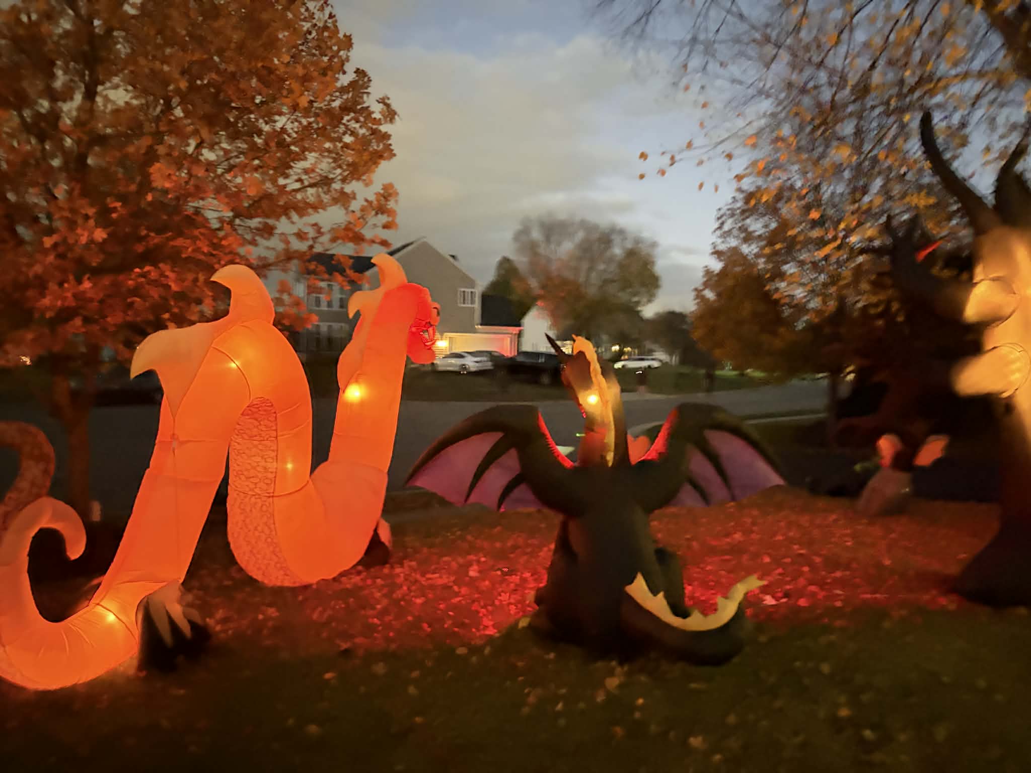 HALLOWEEN 2025 7