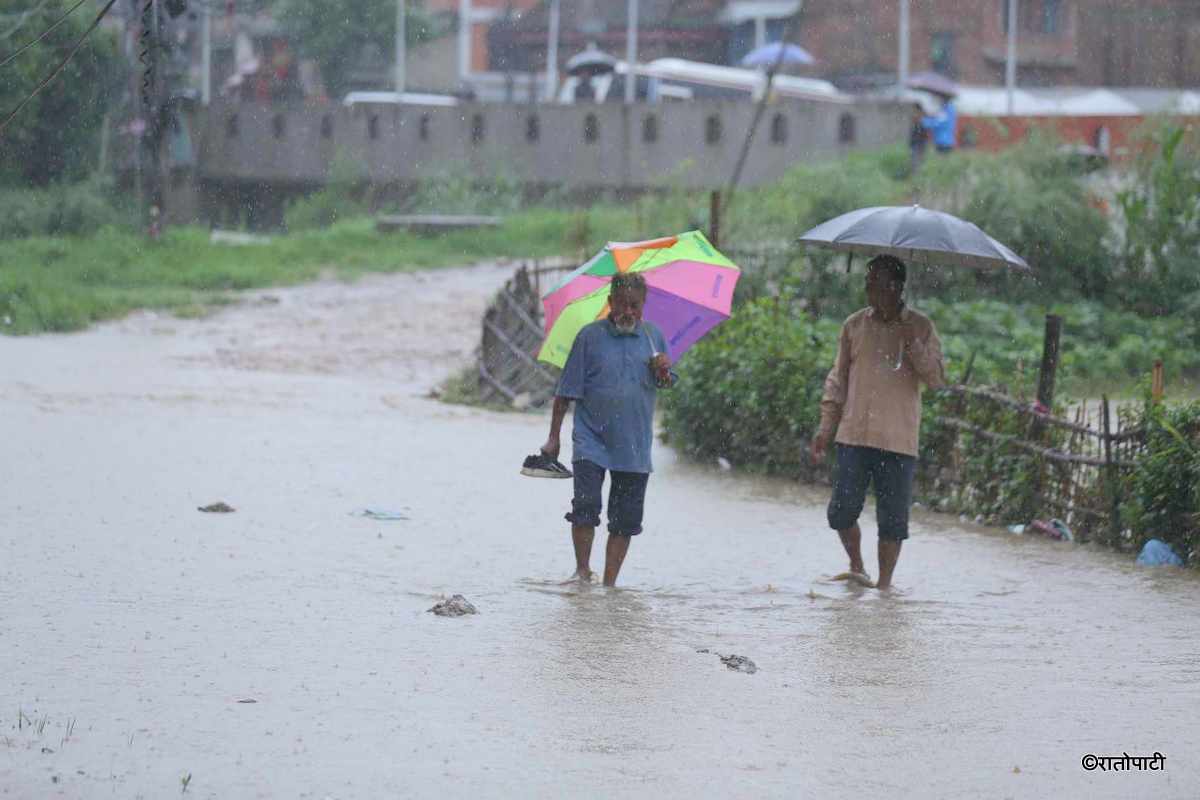 hanumante khola duban (18)