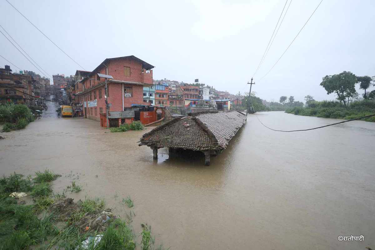 hanumante khola duban (5)