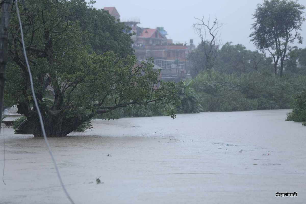 hanumante khola duban (7)