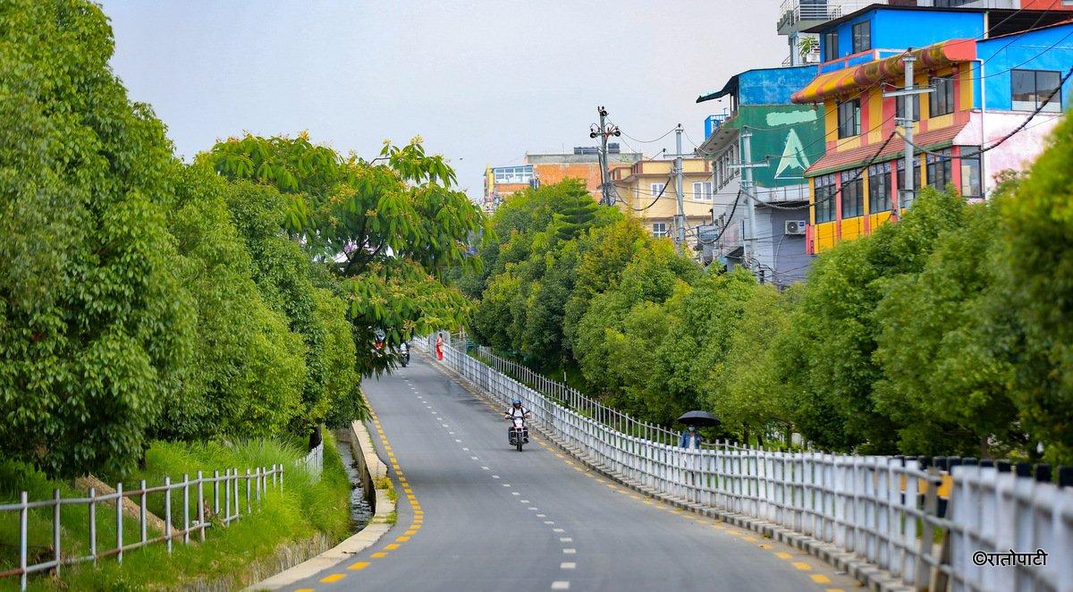 Sanepa Area Becomes Attraction Due to Greenery Amidst Road Construction Delay