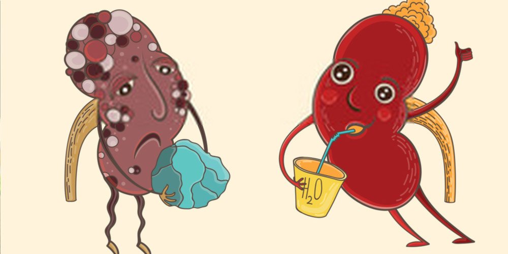 healthy-kidney-drink-water-for-kidney-stones