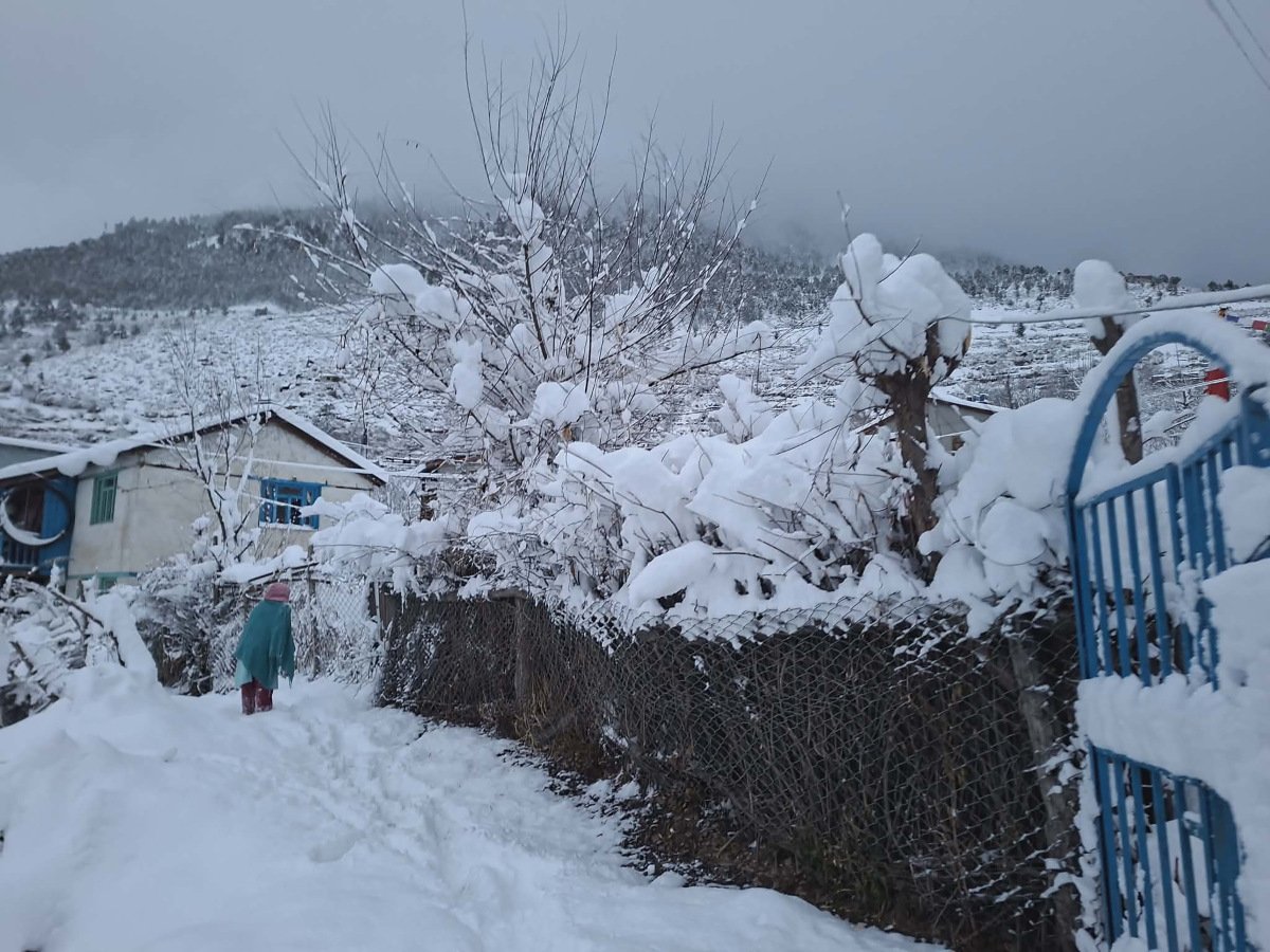 himpat snow (2)