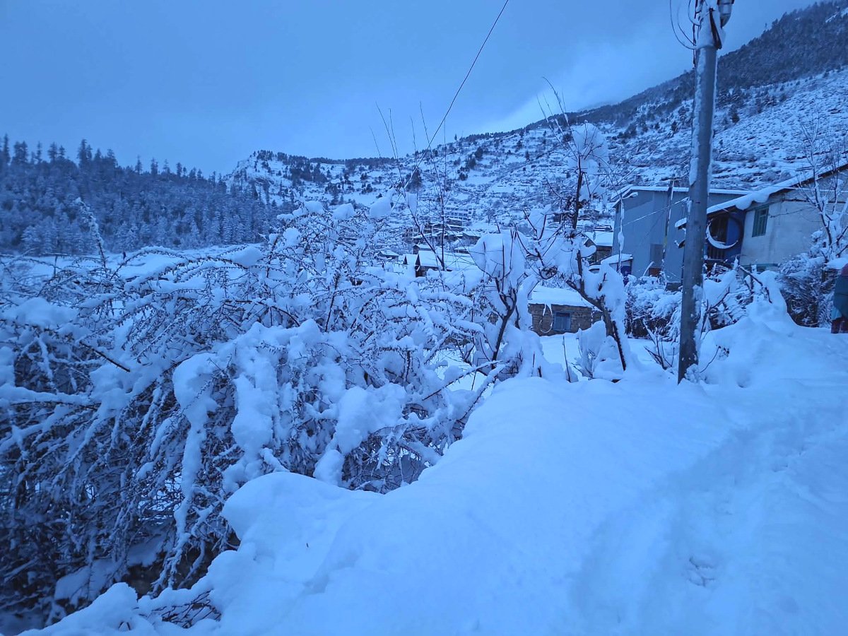 himpat snow (5)