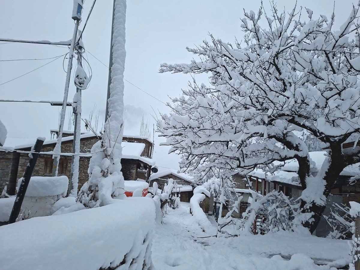 himpat snow (6)