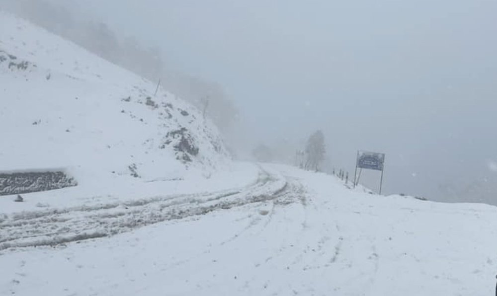 ढोरपाटनमा हिमपात, जनजीवन प्रभावित