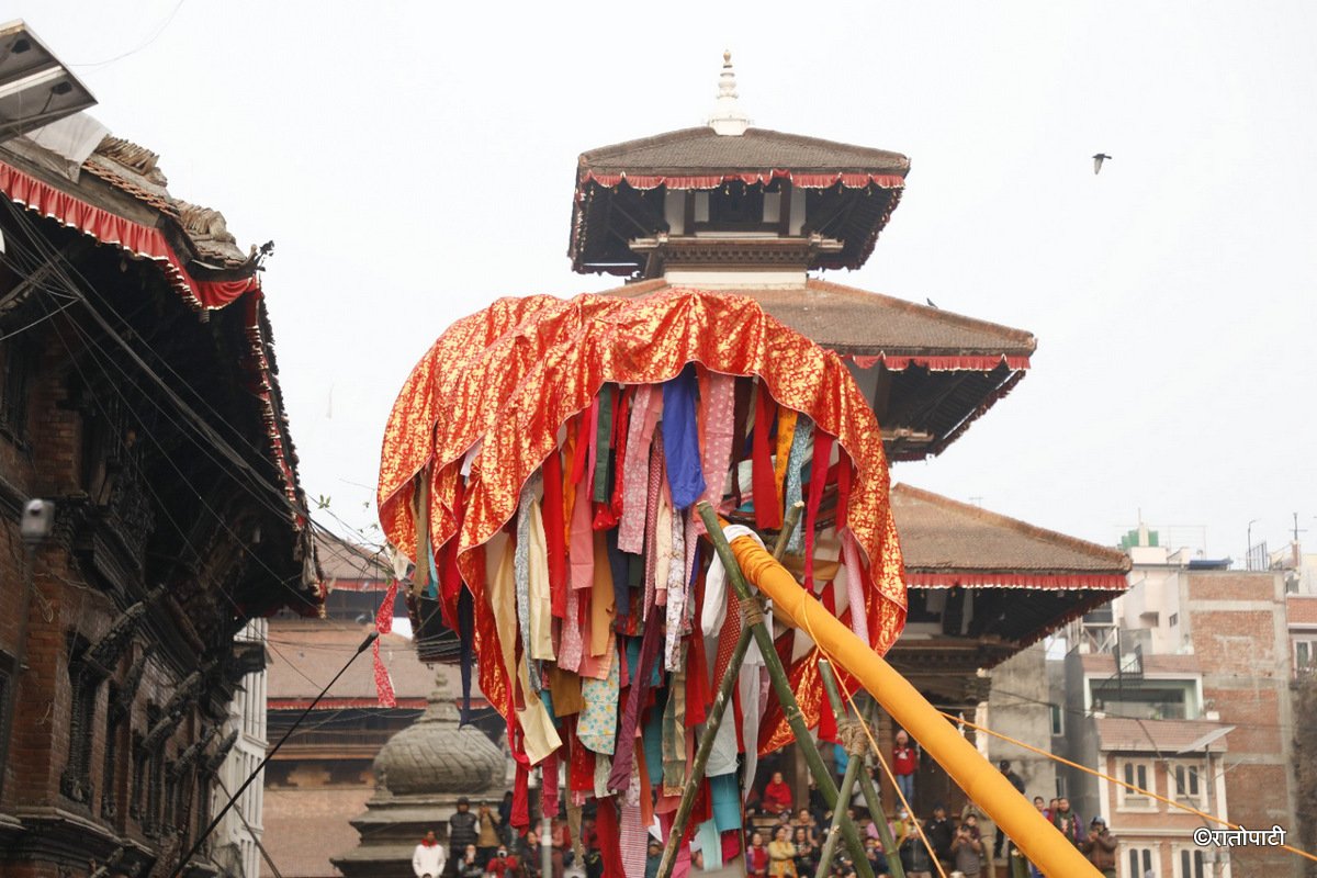 Holi chir_Basantapur (6)