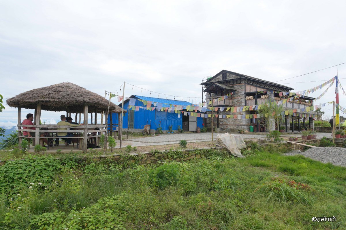 homestay (3)