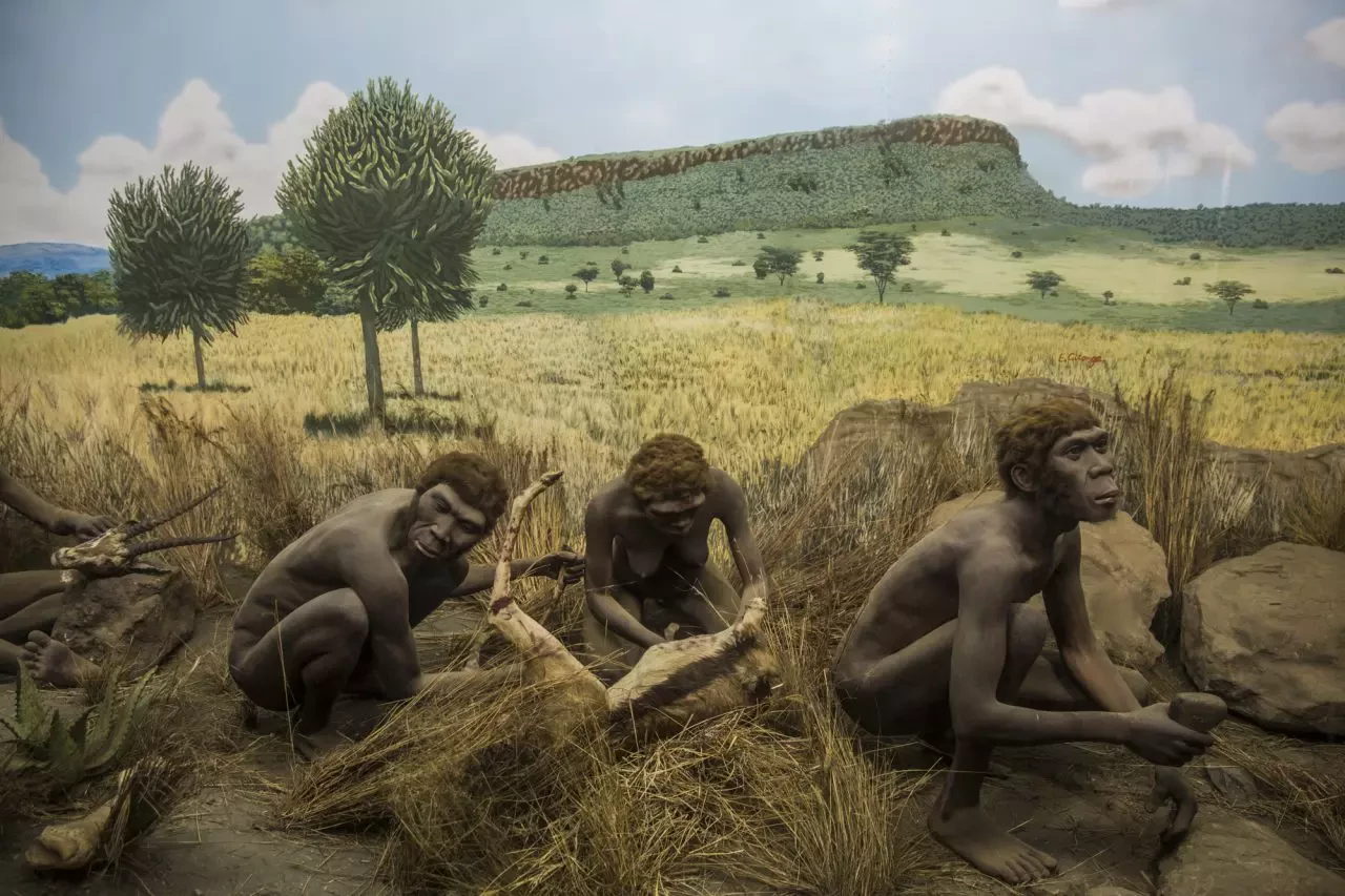 Homo sapiens_4
