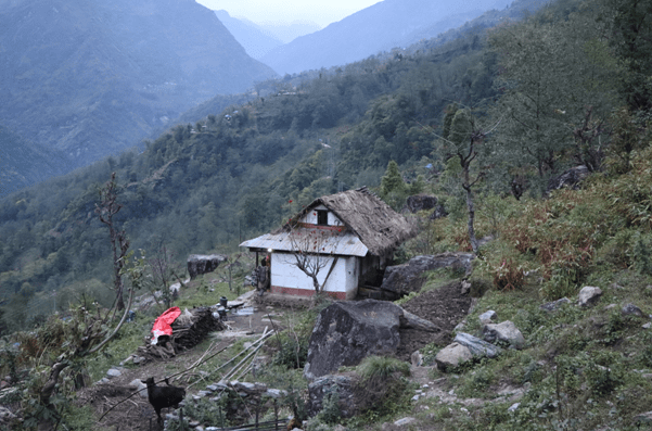 हावाहुरीसँगै वर्षा हुन थालेपछि...