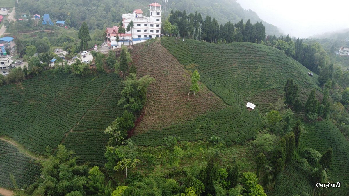 Ilam antu dada (5)