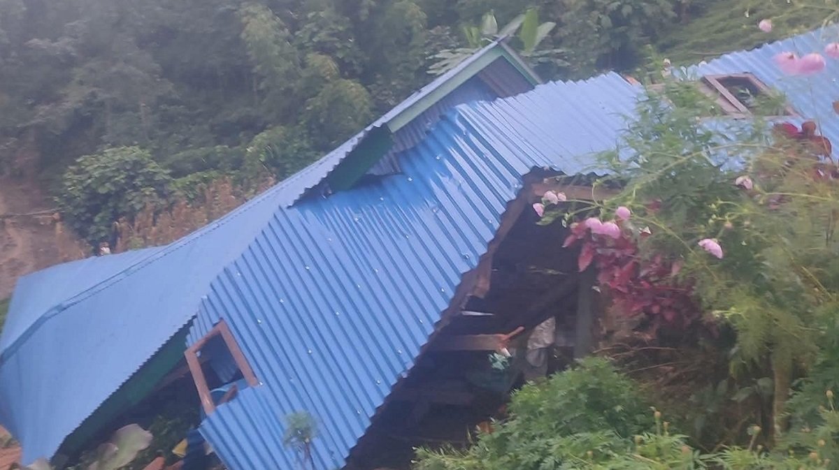   इलामलाई संकटग्रस्त घोषणा गरियो, तर हटेन संकट
