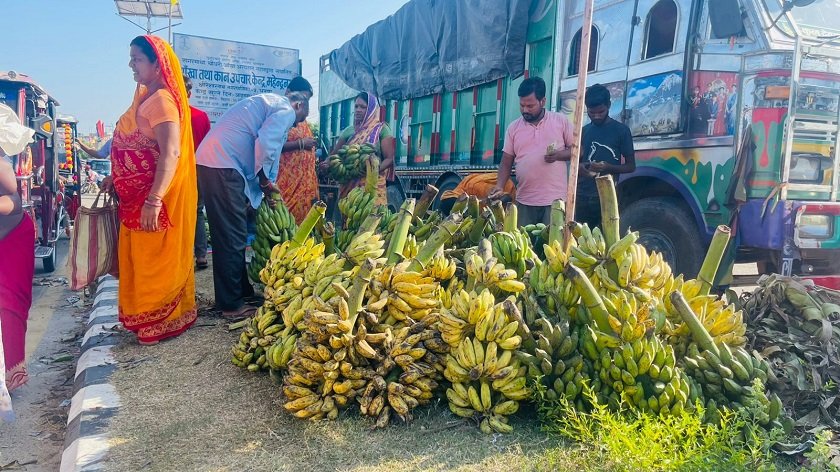   छठ पर्वले बजारमा केराको माग बढ्यो