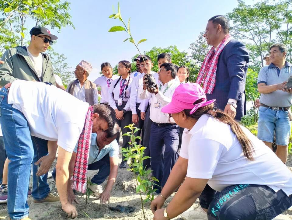 बीवाईडीले विश्व वातावरण दिवसमा रोप्यो १ हजार ५०० बिरुवा