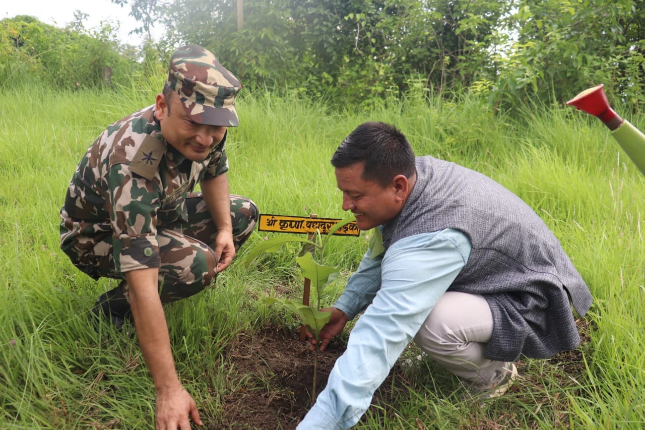 नेपाली सेनाद्वारा सामुदायिक वन र विद्यालय हाताभित्र वृक्षारोपण