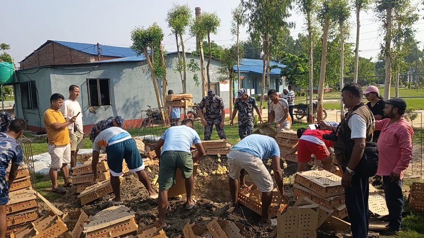सशस्त्र प्रहरीद्वारा कुखुराका चल्ला बरामद
