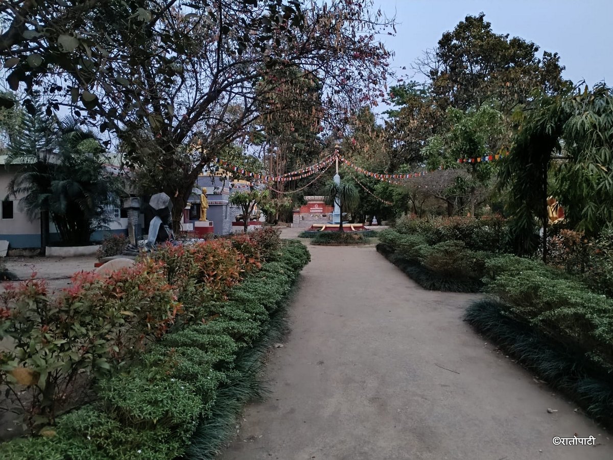 IMG-20250626-WA0031 (1)