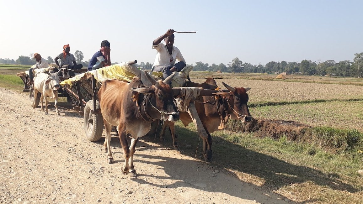 ग्रामीण भेगमा वस्तु विनिमय कायमै, भारतीय बिचौलियाबाट यसरी ठगिन्छन् नेपाली