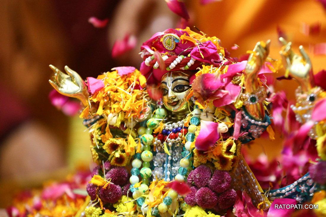 Iskcon Nepal, Flower Holi.-882