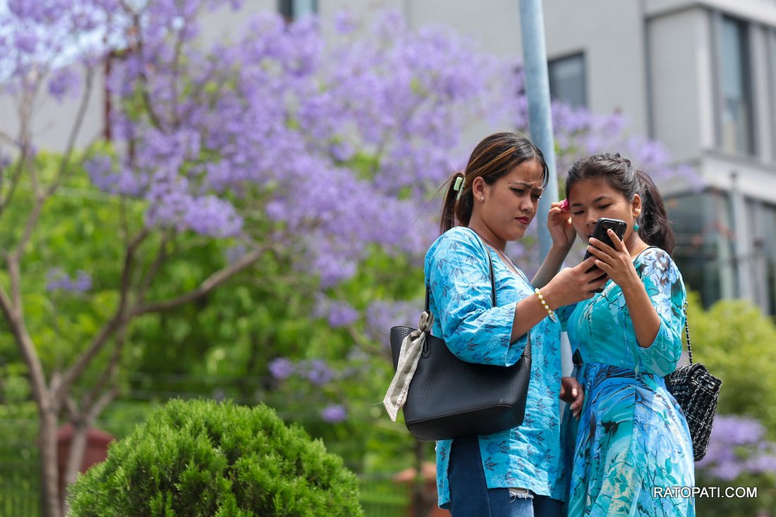 jacaranda (18)