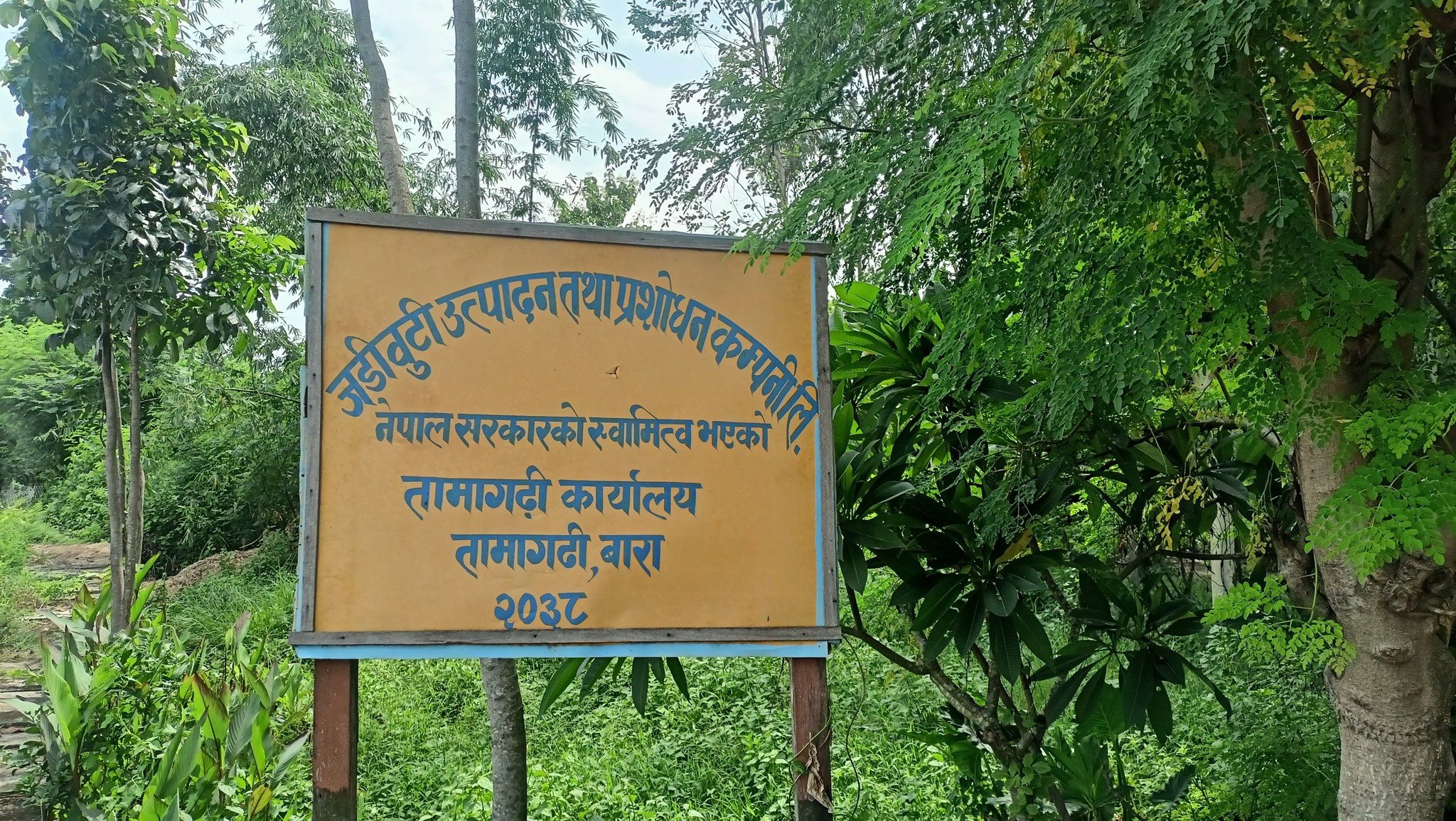 jadibuti prasodhan kendra
