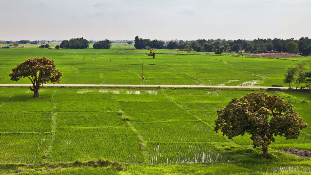Land Parcel Division Halted in 405 Local Units Due to Incomplete Land Classification