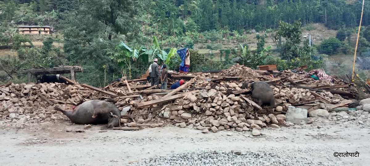 jajarkot earthquake (8)