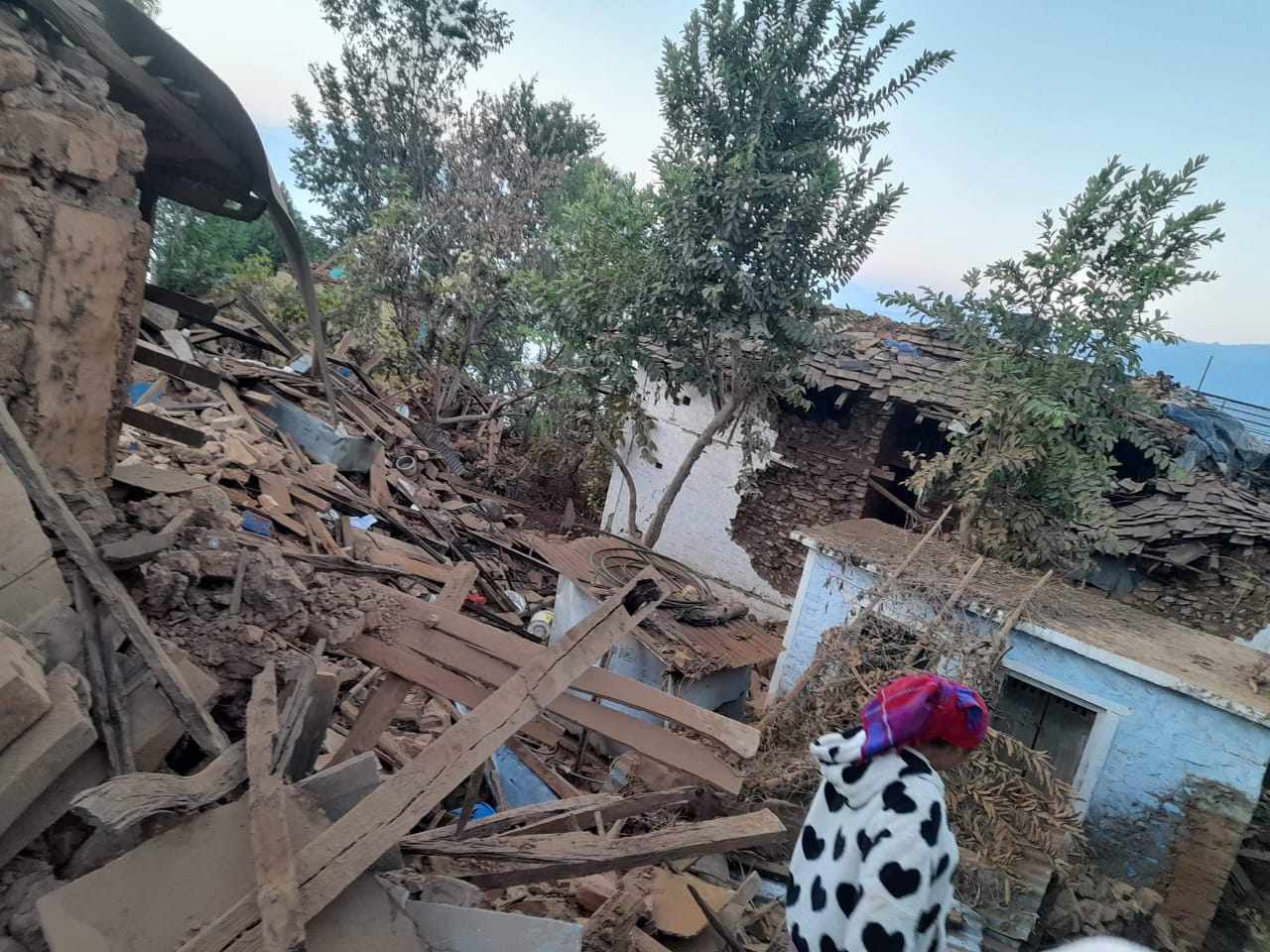 भूकम्प प्रभावित क्षेत्रमा उद्धारको काममा खटिन नेता थपलियाको अनुरोध