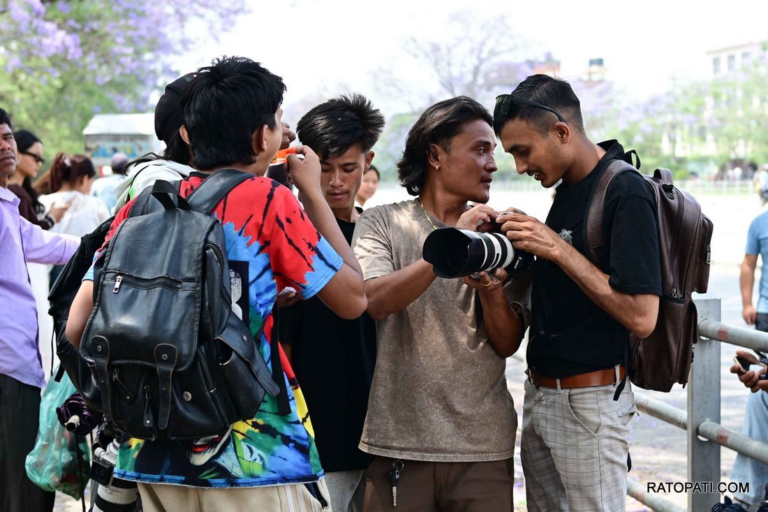jakaranda (19)