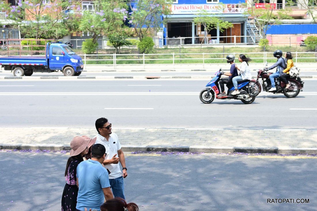 jakaranda (23)