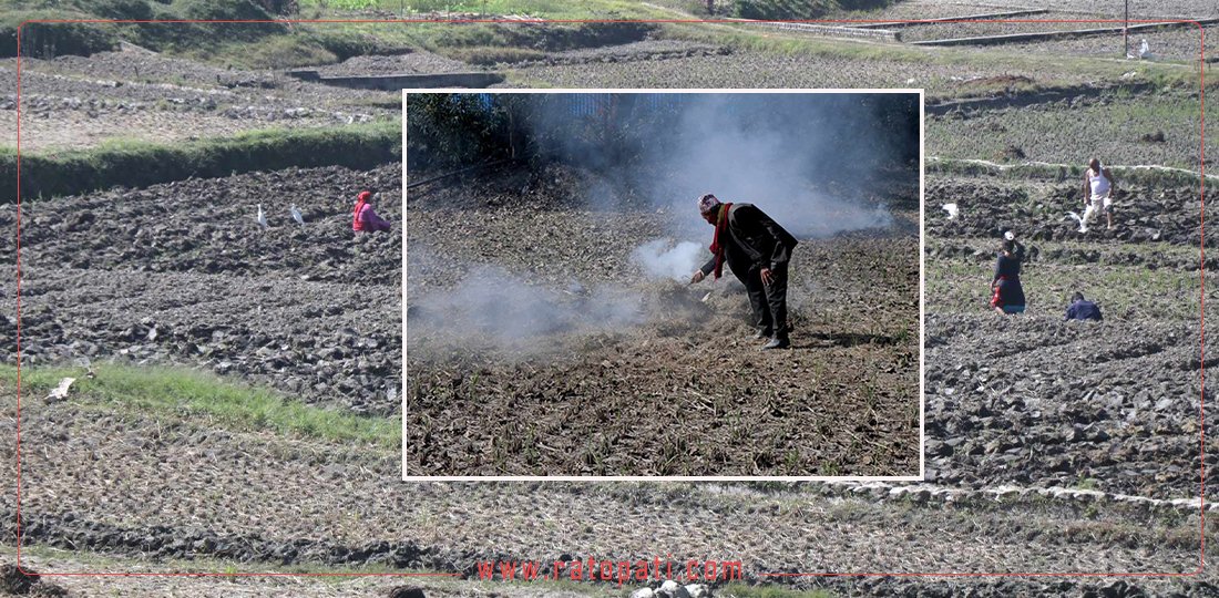 खेतीयोग्य माटोको गुणस्तर लगातार खस्कियो