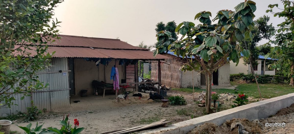 Jhapa Sukumbasi (8)