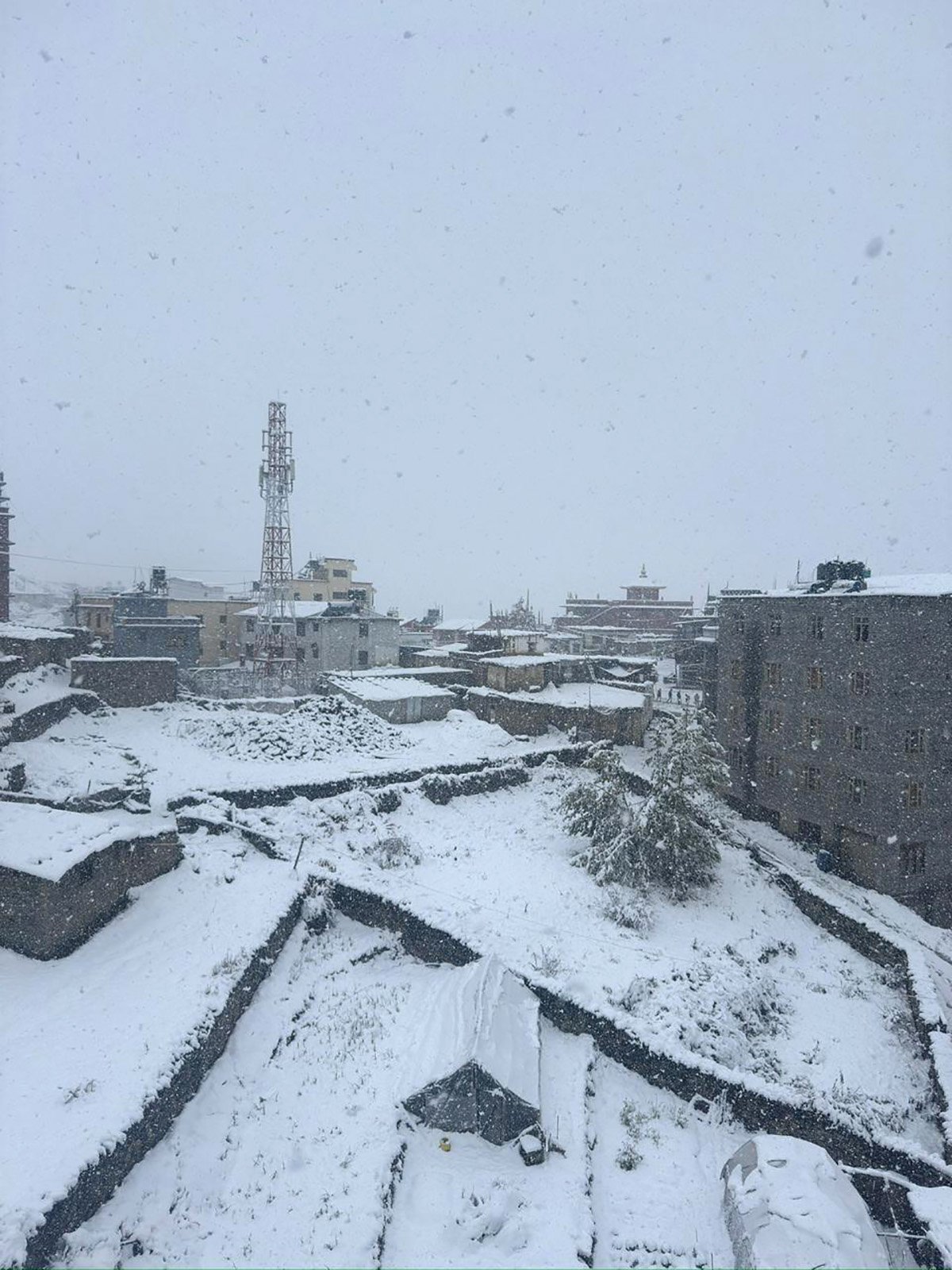 jomsom himpat (1)