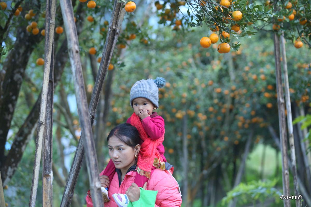 Junar Suntala (11)