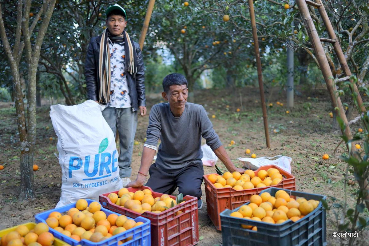 Junar Suntala (16)