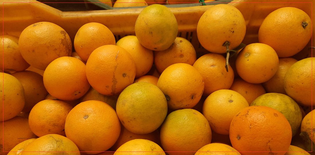   सिन्धुलीको जुनारको काठमाडौँमा साताव्यापी मेला