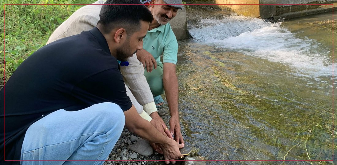   सडक किनारबाट उद्धार गरिएको कछुवा सिमसारमा छाडियो