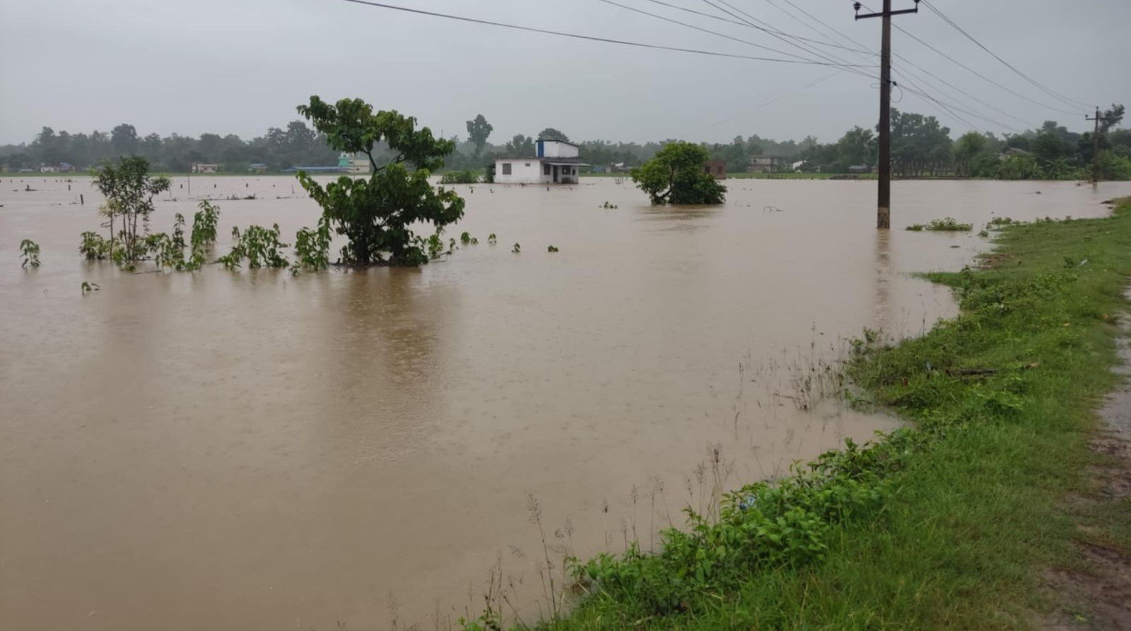 वर्षाले कैलालीमा डुबान, नदी तटीय क्षेत्रमा सतर्कता अपनाउन आग्रह